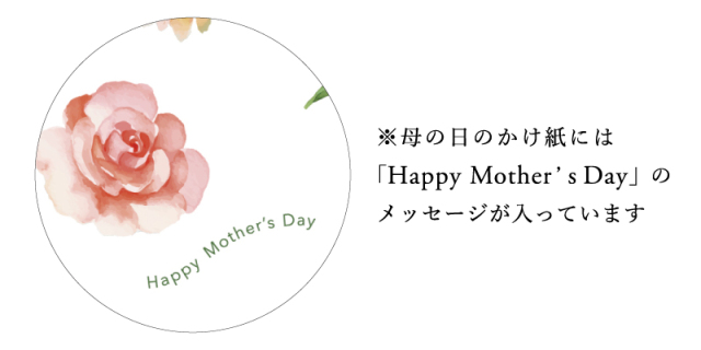 カーネーション