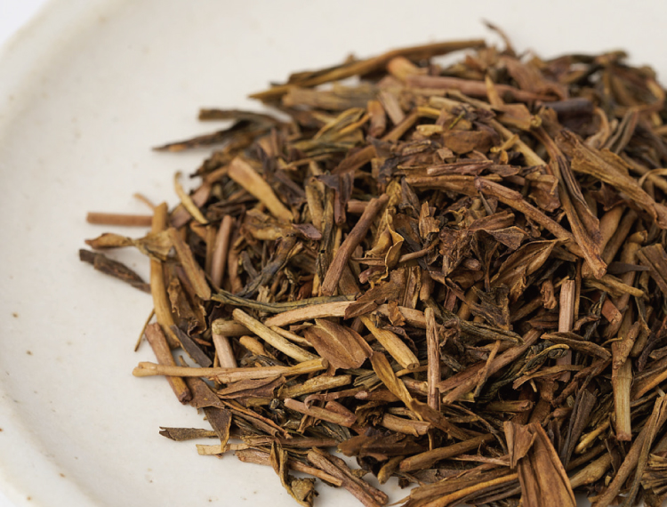 焙茶noma